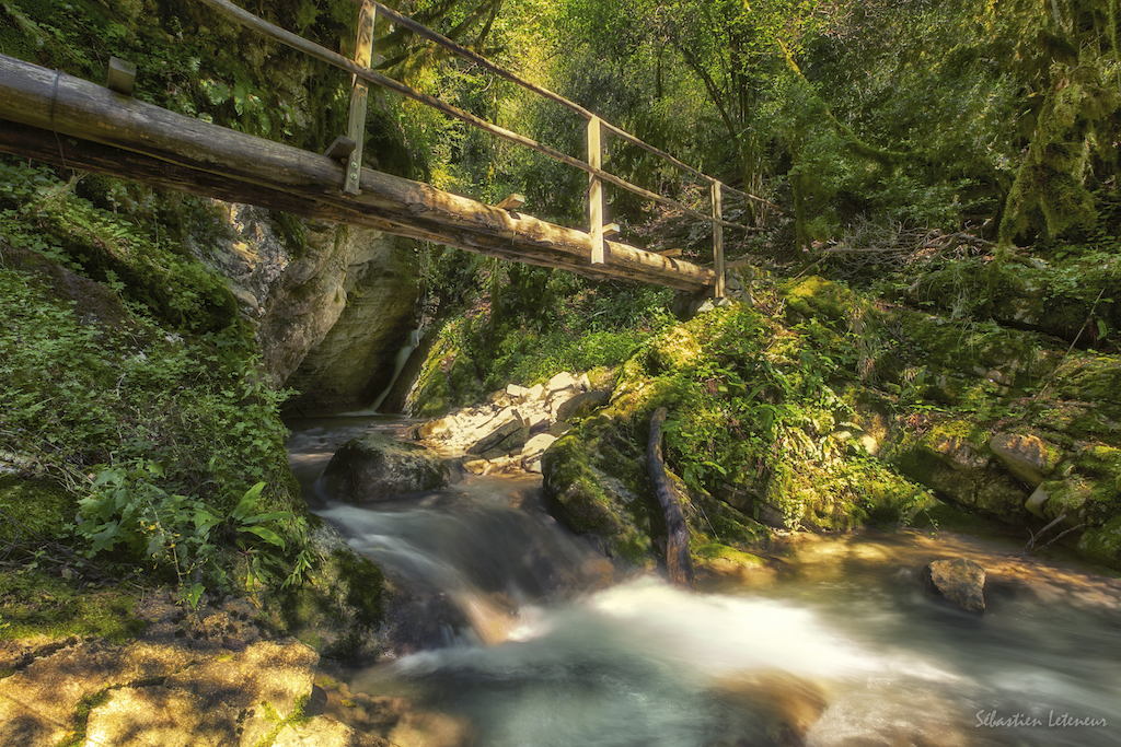 Cross the river